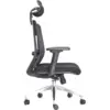 Silla Filadelfia 2 Presidente Ergonómica-malla-Syncro 8 Silla Filadelfia 2 Presidente Ergonómica-malla-Syncro