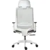 Silla Hinke presidente blanco