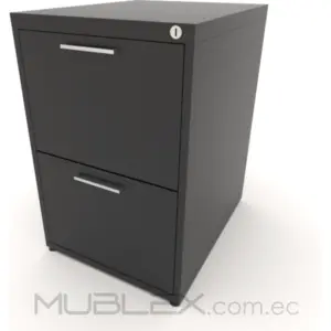 Archivador metálico con 2 cajones