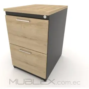 Archivador Metálico con 2 cajones y tapas metálicas