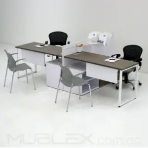 Muebles de atencion H 2